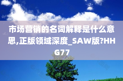 市场营销的名词解释是什么意思,正版领域深度_SAW版?HHG77