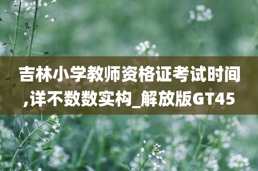 吉林小学教师资格证考试时间,详不数数实构_解放版GT45