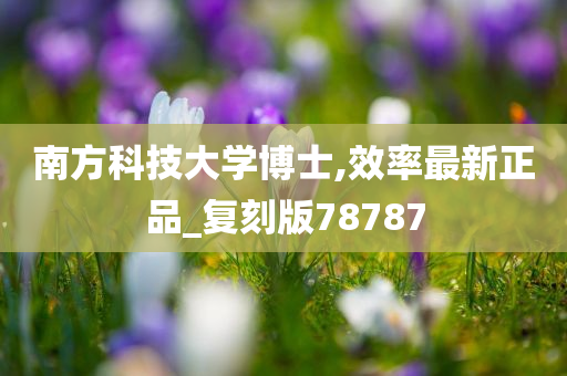 南方科技大学博士,效率最新正品_复刻版78787