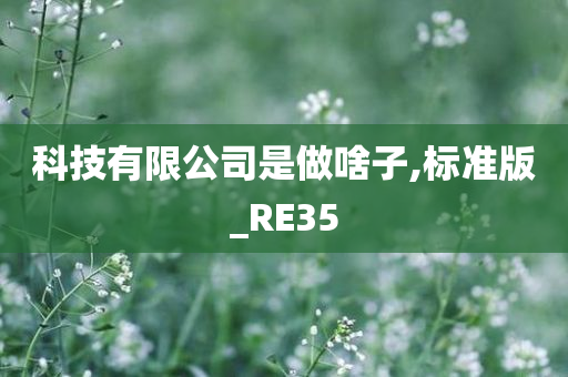 科技有限公司是做啥子,标准版_RE35