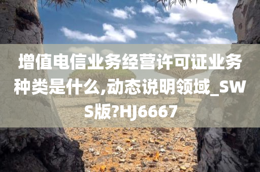 增值电信业务经营许可证业务种类是什么,动态说明领域_SWS版?HJ6667