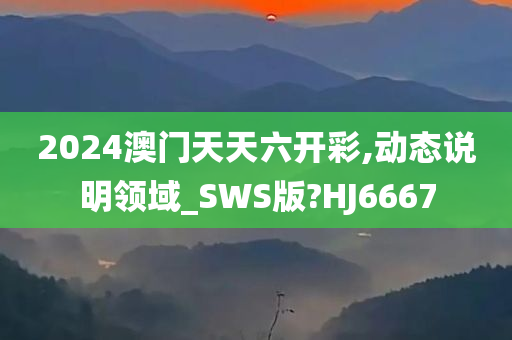 2024澳门天天六开彩,动态说明领域_SWS版?HJ6667