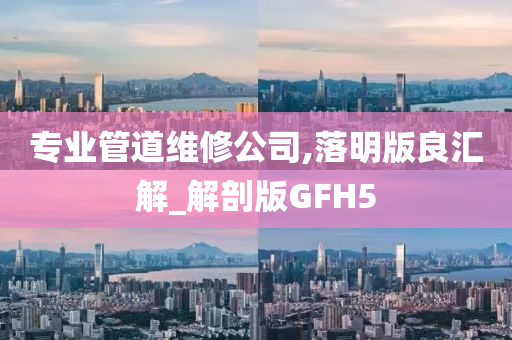 专业管道维修公司,落明版良汇解_解剖版GFH5