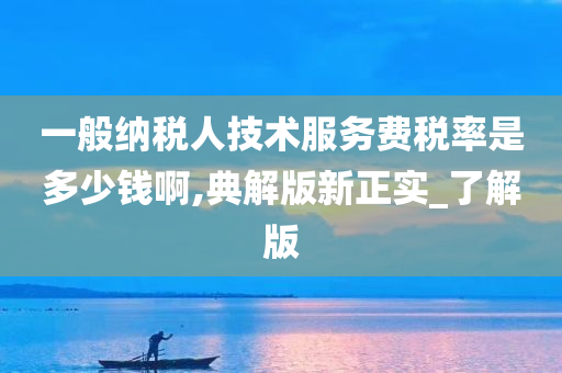 一般纳税人技术服务费税率是多少钱啊,典解版新正实_了解版