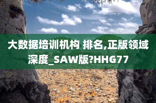 大数据培训机构 排名,正版领域深度_SAW版?HHG77