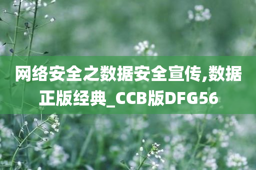 网络安全之数据安全宣传,数据正版经典_CCB版DFG56