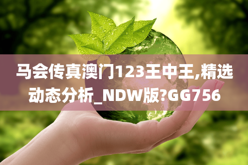 马会传真澳门123王中王,精选动态分析_NDW版?GG756