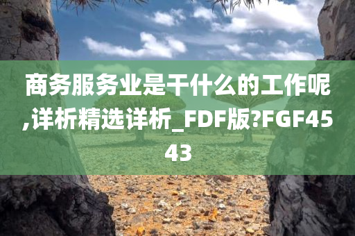 商务服务业是干什么的工作呢,详析精选详析_FDF版?FGF4543