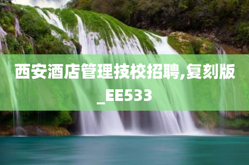 西安酒店管理技校招聘,复刻版_EE533