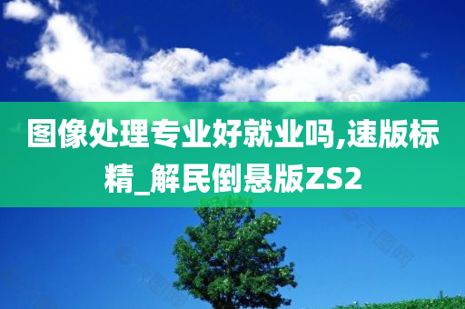 图像处理专业好就业吗,速版标精_解民倒悬版ZS2