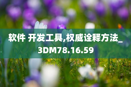 软件 开发工具,权威诠释方法_3DM78.16.59