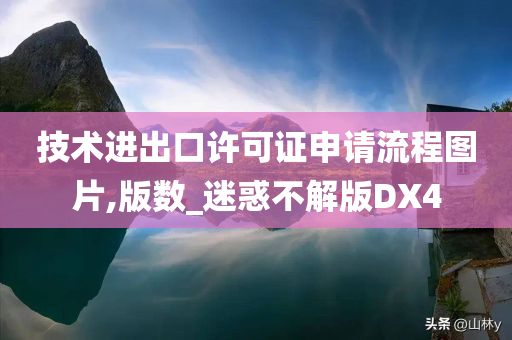 技术进出口许可证申请流程图片,版数_迷惑不解版DX4