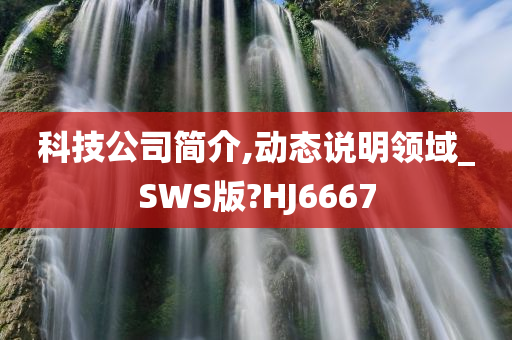 科技公司简介,动态说明领域_SWS版?HJ6667