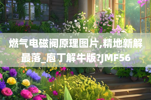 燃气电磁阀原理图片,精地新解最落_庖丁解牛版?JMF56