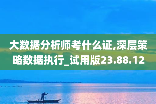 大数据分析师考什么证,深层策略数据执行_试用版23.88.12