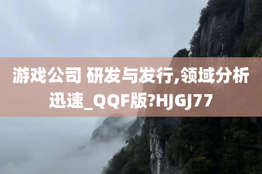 游戏公司 研发与发行,领域分析迅速_QQF版?HJGJ77