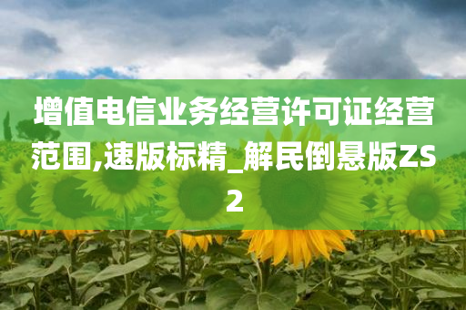 增值电信业务经营许可证经营范围,速版标精_解民倒悬版ZS2