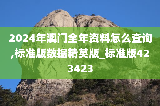 2024年澳门全年资料怎么查询,标准版数据精英版_标准版423423