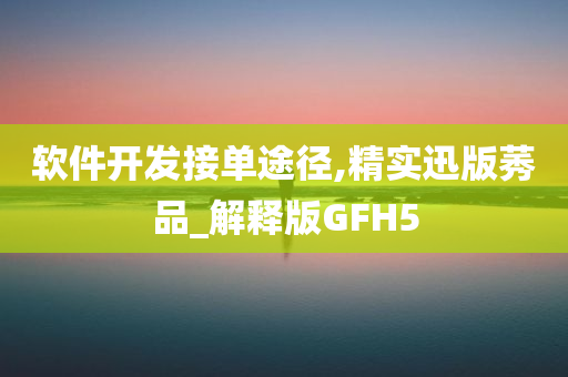 软件开发接单途径,精实迅版莠品_解释版GFH5