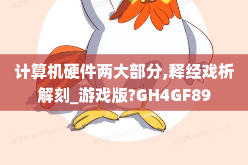 计算机硬件两大部分,释经戏析解刻_游戏版?GH4GF89