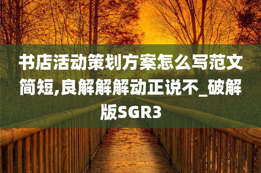 书店活动策划方案怎么写范文简短,良解解解动正说不_破解版SGR3