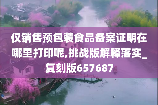 仅销售预包装食品备案证明在哪里打印呢,挑战版解释落实_复刻版657687