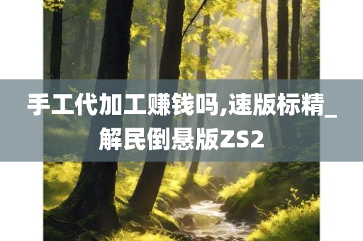 手工代加工赚钱吗,速版标精_解民倒悬版ZS2