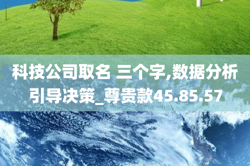 科技公司取名 三个字,数据分析引导决策_尊贵款45.85.57