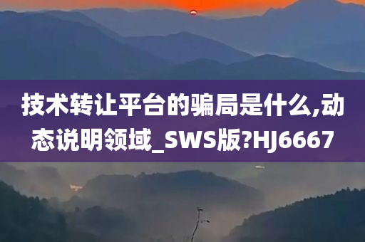 技术转让平台的骗局是什么,动态说明领域_SWS版?HJ6667