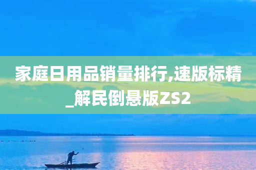 家庭日用品销量排行,速版标精_解民倒悬版ZS2