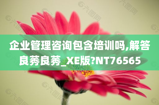 企业管理咨询包含培训吗,解答良莠良莠_XE版?NT76565