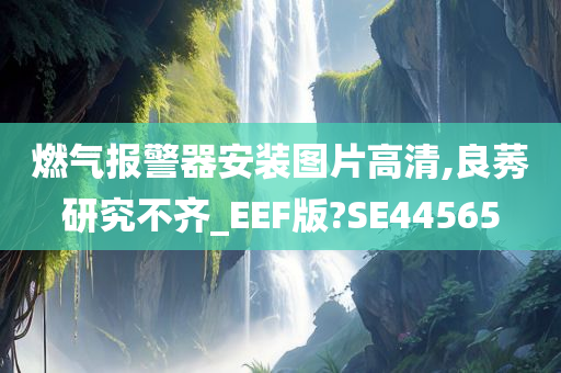 燃气报警器安装图片高清,良莠研究不齐_EEF版?SE44565