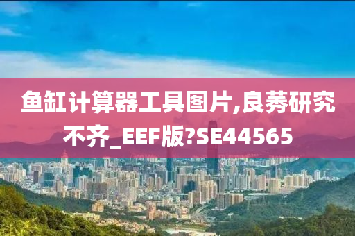 鱼缸计算器工具图片,良莠研究不齐_EEF版?SE44565