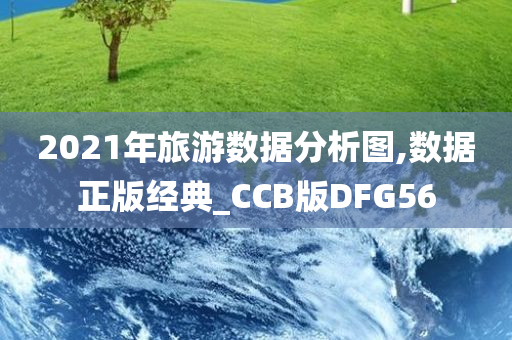 2021年旅游数据分析图,数据正版经典_CCB版DFG56