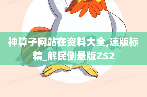 神算子网站在资料大全,速版标精_解民倒悬版ZS2