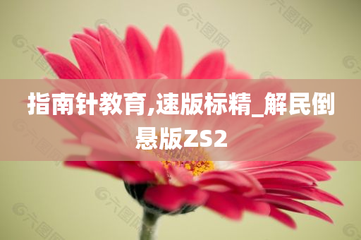 指南针教育,速版标精_解民倒悬版ZS2