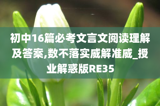 初中16篇必考文言文阅读理解及答案,数不落实威解准威_授业解惑版RE35