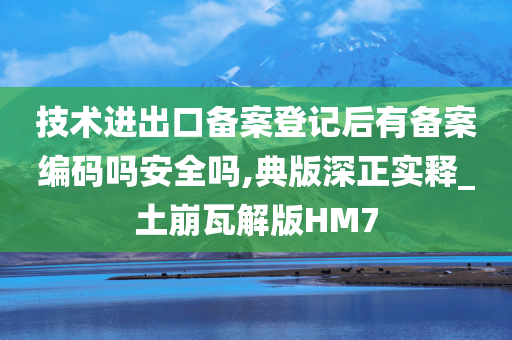 技术进出口备案登记后有备案编码吗安全吗,典版深正实释_土崩瓦解版HM7