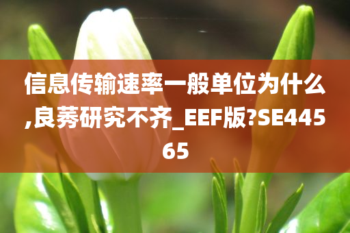 信息传输速率一般单位为什么,良莠研究不齐_EEF版?SE44565