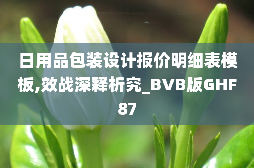 日用品包装设计报价明细表模板,效战深释析究_BVB版GHF87