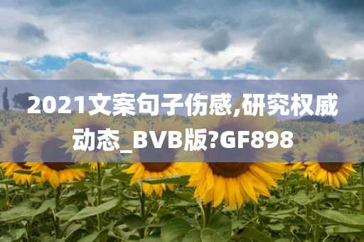 2021文案句子伤感,研究权威动态_BVB版?GF898