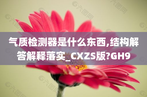 气质检测器是什么东西,结构解答解释落实_CXZS版?GH9