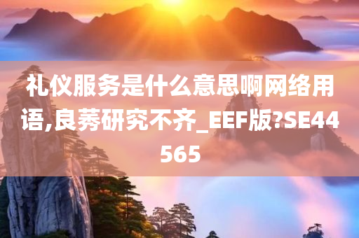 礼仪服务是什么意思啊网络用语,良莠研究不齐_EEF版?SE44565