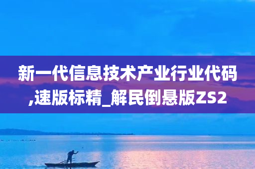 新一代信息技术产业行业代码,速版标精_解民倒悬版ZS2