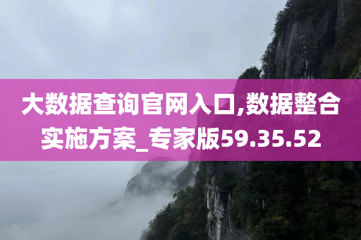 大数据查询官网入口,数据整合实施方案_专家版59.35.52