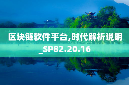 区块链软件平台,时代解析说明_SP82.20.16