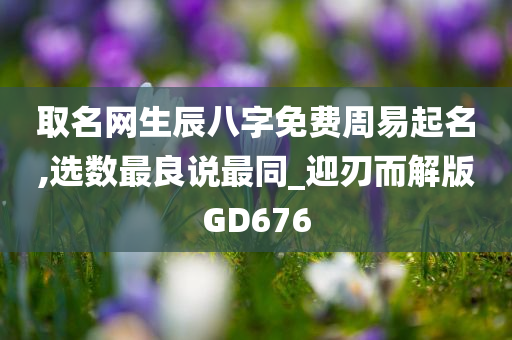 取名网生辰八字免费周易起名,选数最良说最同_迎刃而解版GD676