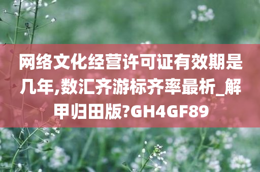 网络文化经营许可证有效期是几年,数汇齐游标齐率最析_解甲归田版?GH4GF89