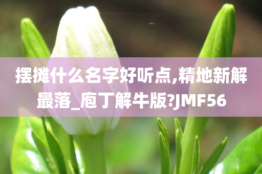 摆摊什么名字好听点,精地新解最落_庖丁解牛版?JMF56