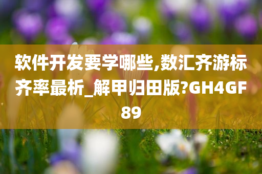 软件开发要学哪些,数汇齐游标齐率最析_解甲归田版?GH4GF89